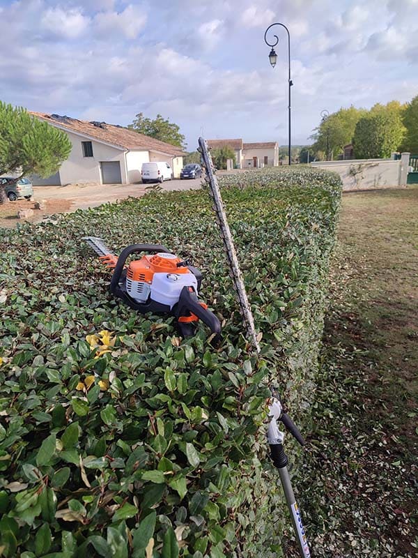 Entretien de jardin Libourne Coutras Saint Andre de Cubzac - Jardi Creation - 01