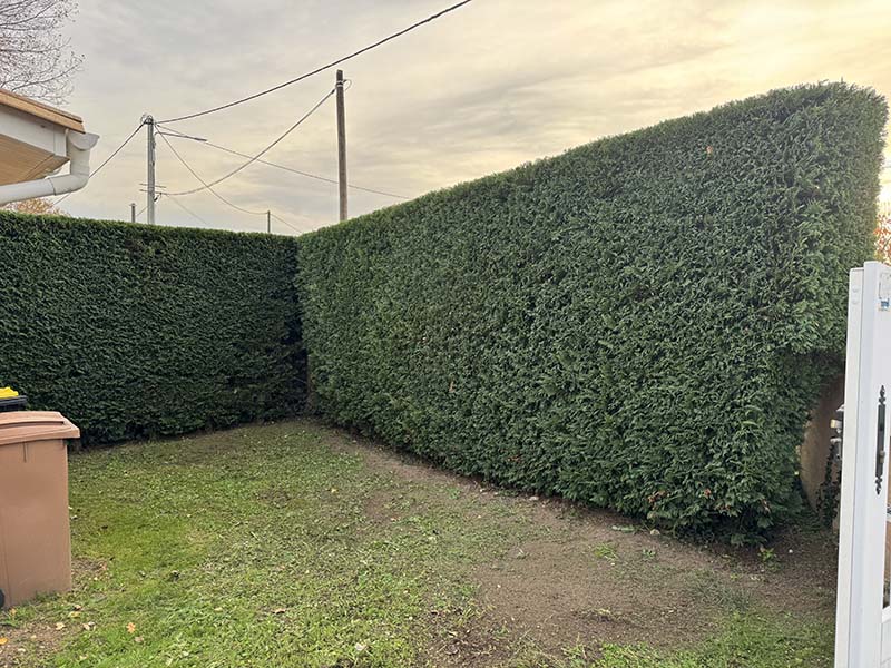 Paysagiste Entretien de jardin Elagage Libourne - Jardi Creation 10