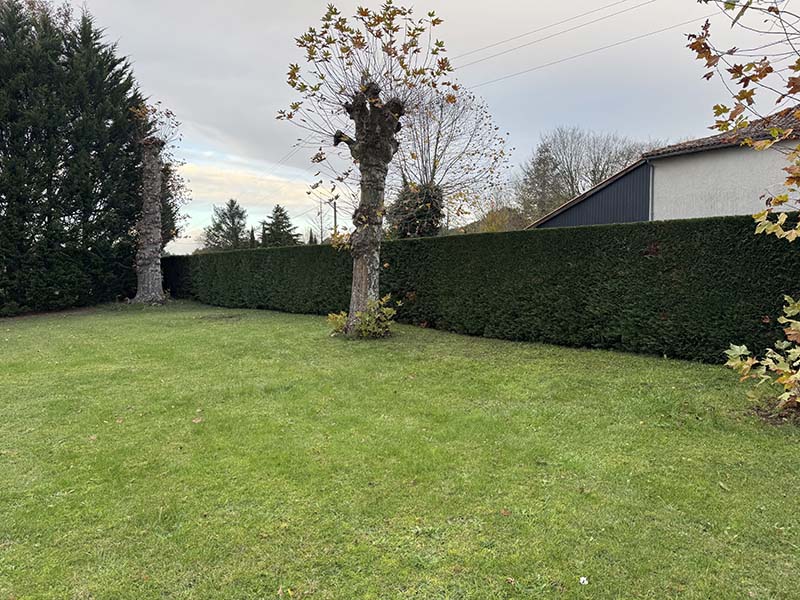 Paysagiste Entretien de jardin Elagage Libourne - Jardi Creation 5